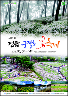 구절초 꽃축제 포스터