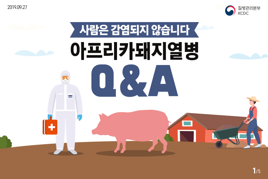 아프리카 돼지열병 Q&A