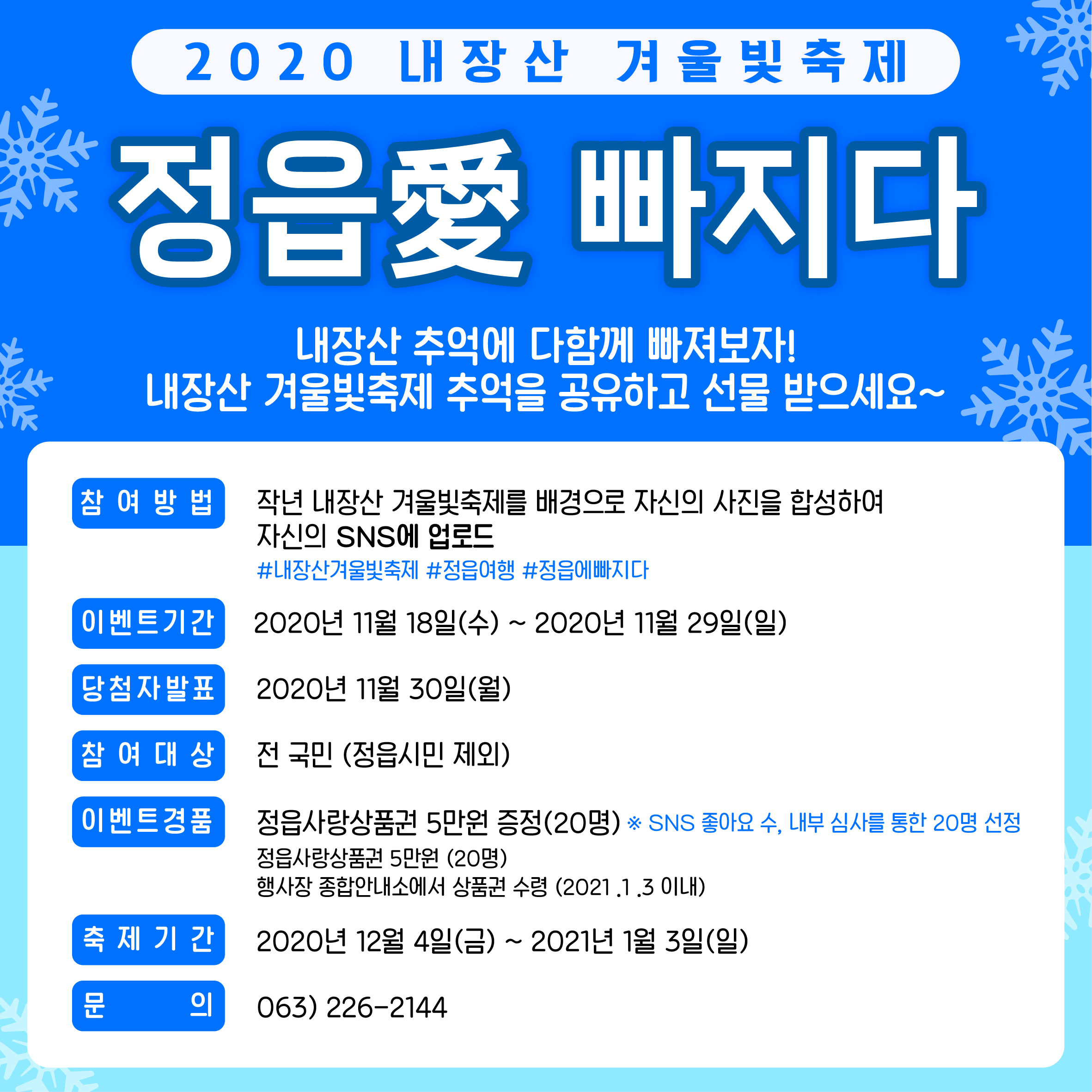 2020 내장산 겨울빛축제