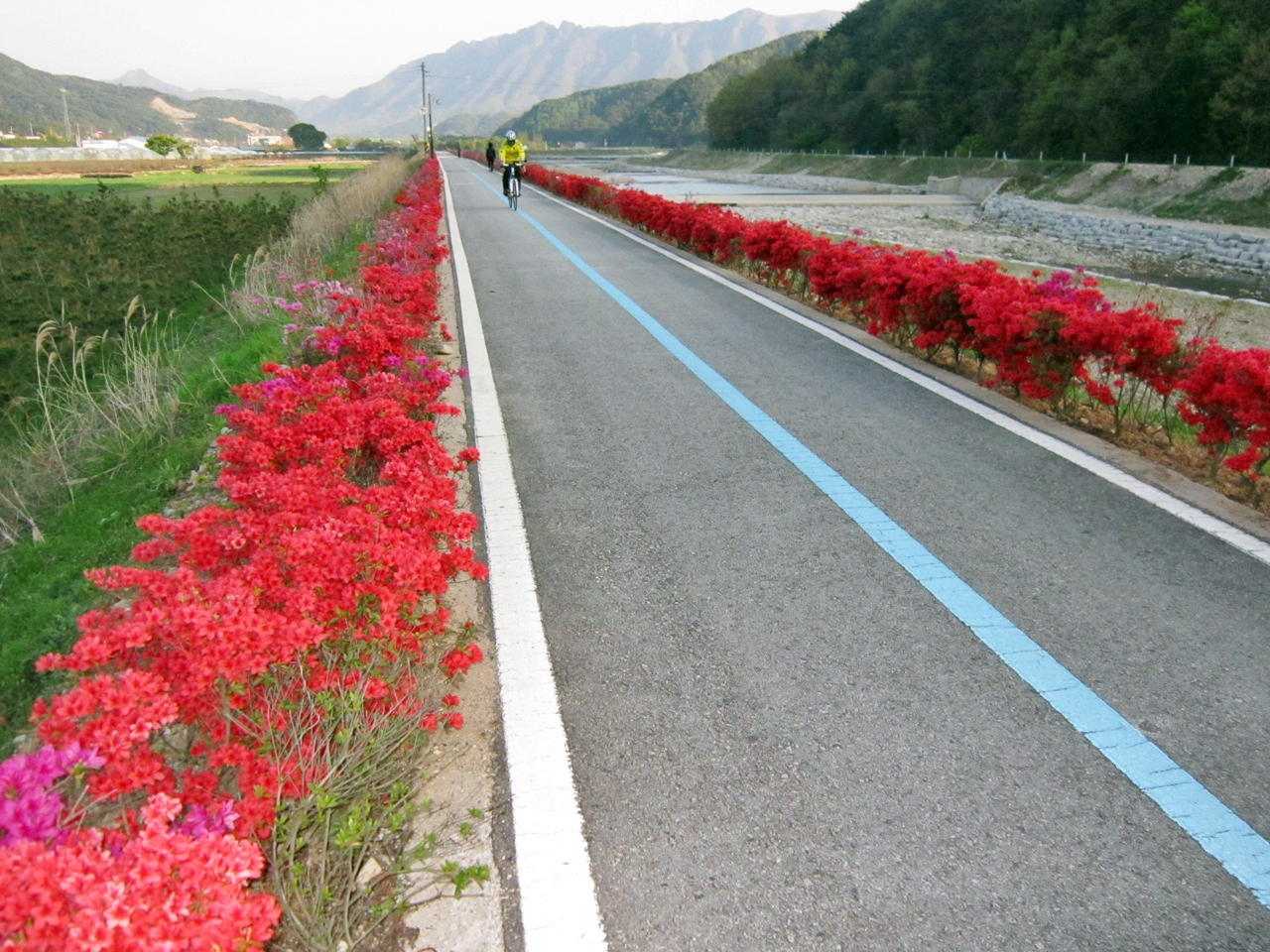 게시물 보기 페이지