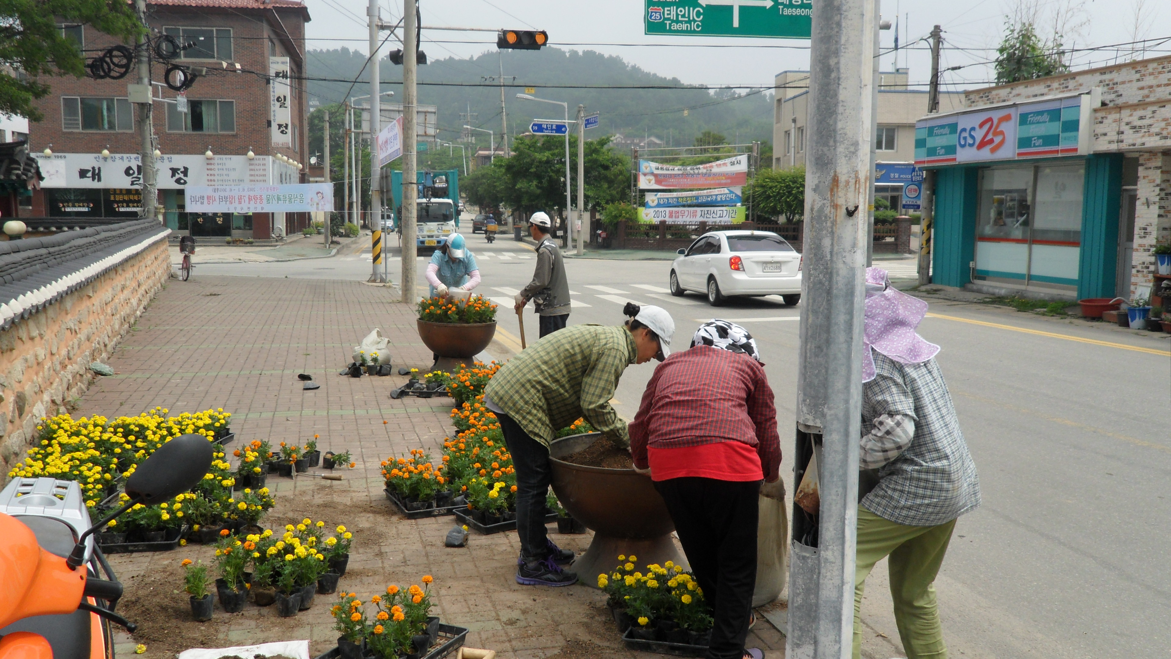 20130613 태인면 피향정인근 꽃묘식재