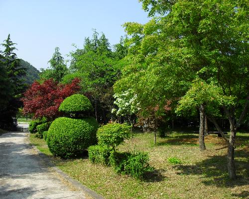 내장산 수목원