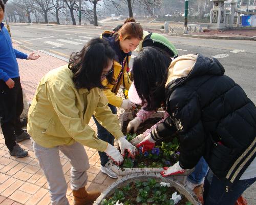 2011 식목일 행사 및 새봄맞이 도로변 꽃길조성(2)