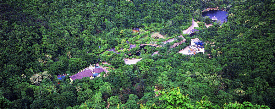 Naejangsan Mountain