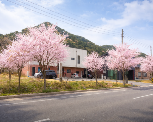내장산 208 정읍 펜션