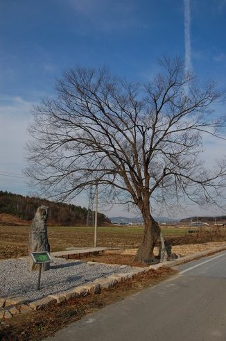 남근석(男根石)