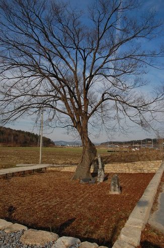 남근석(男根石)