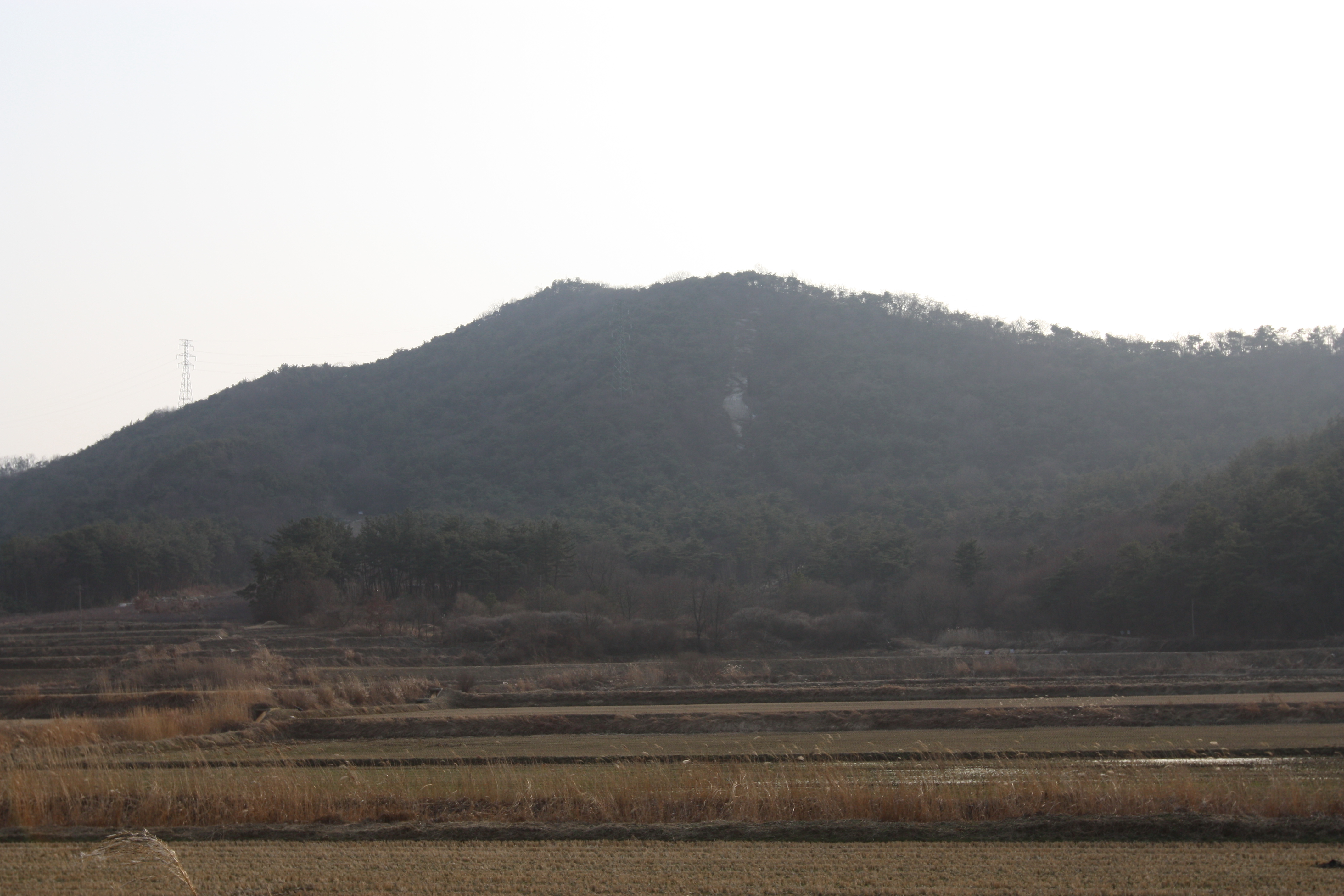 금사동토성