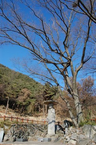 망제동 석불입상