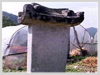 시천교 순교 모비