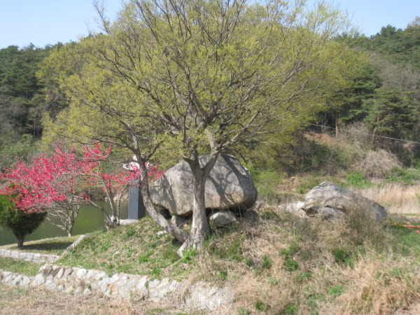 봉양리 지석묘