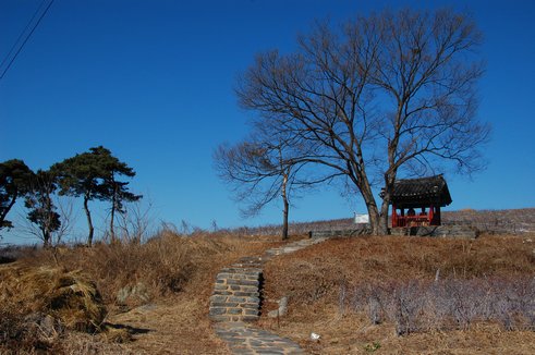 정읍 보화리 석조이불입상