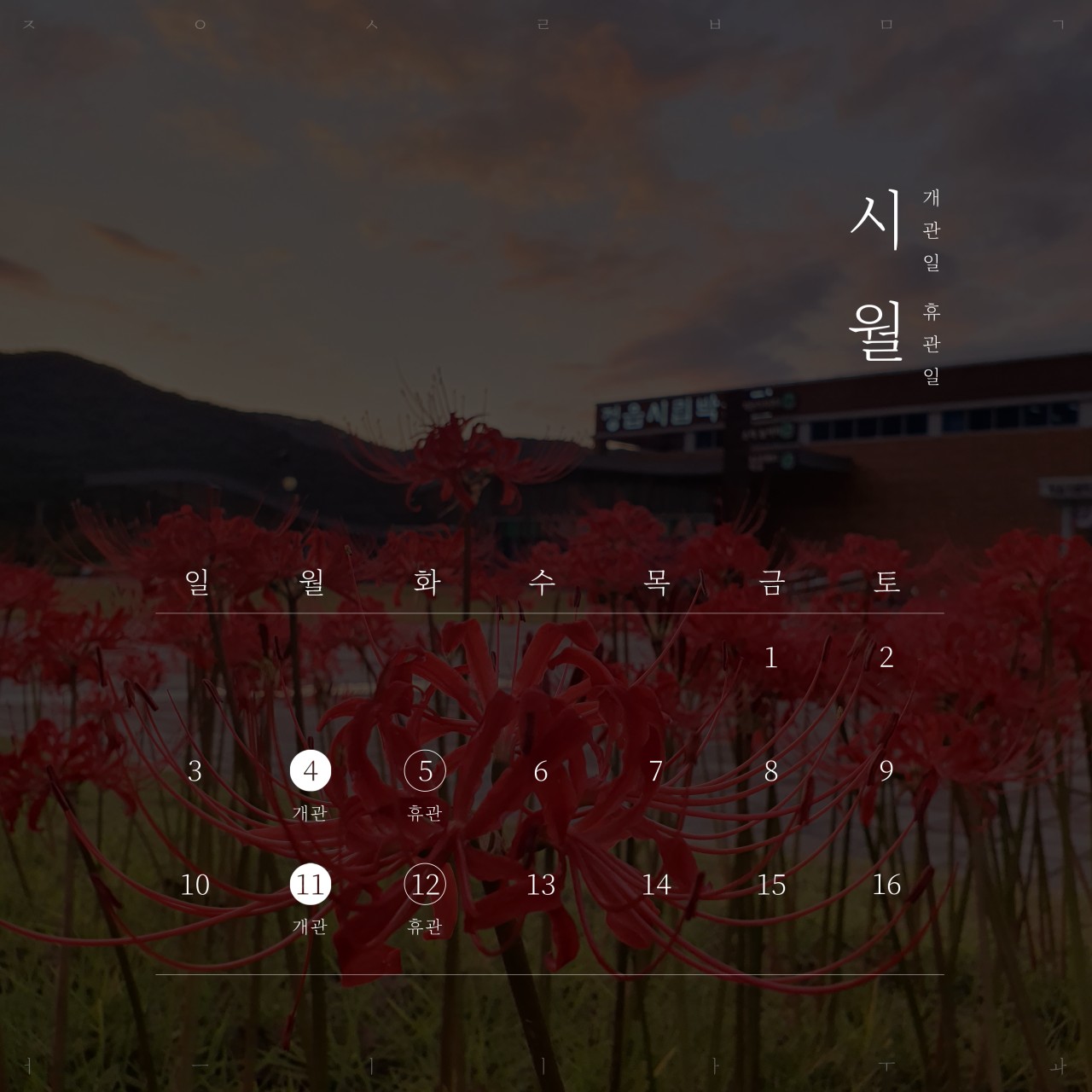 시립박물관 개관&휴관 안내(개천절 및 한글날) (1)