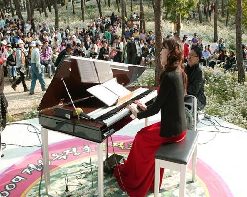 구절초 꽃밭 음악회