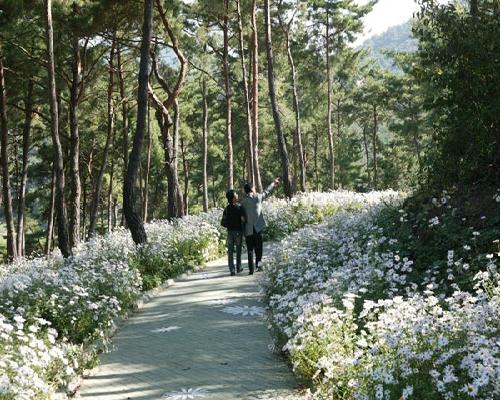 한적한 가을길...