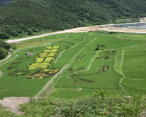 논벼그림 풍경