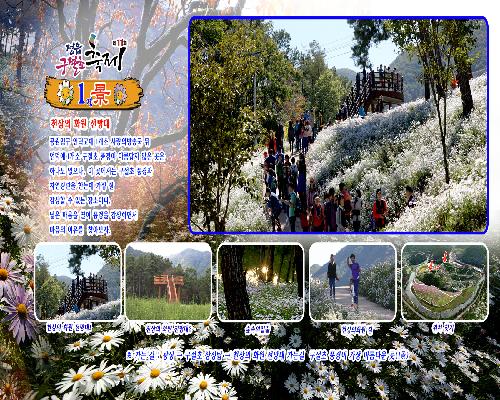 구절초 테마공원 5경