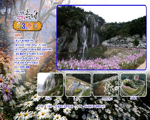 구절초 테마공원 5경