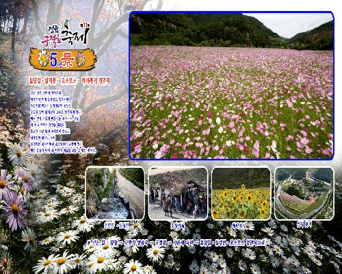 구절초 테마공원 5경