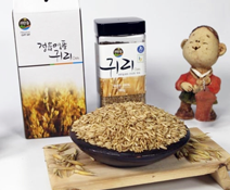정읍 귀리