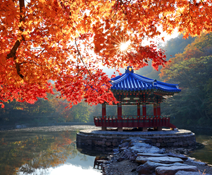 정읍 내장산 국립공원