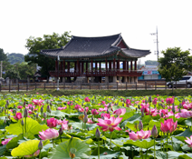 피향정