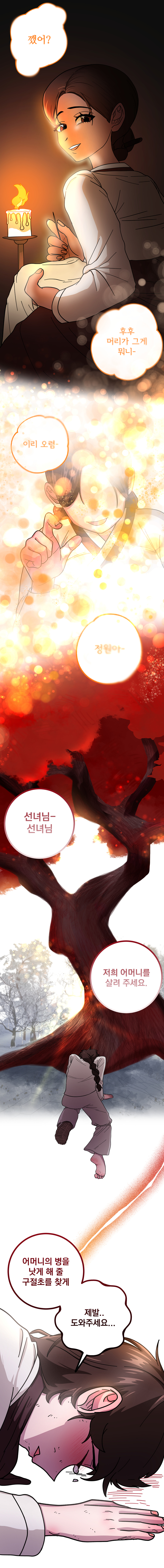 구절초 어머니를 위한 이야기 아래 전반적인 내용이 있습니다.