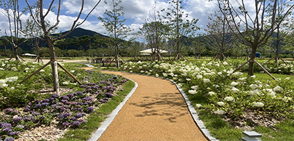 수국정원 이미지2