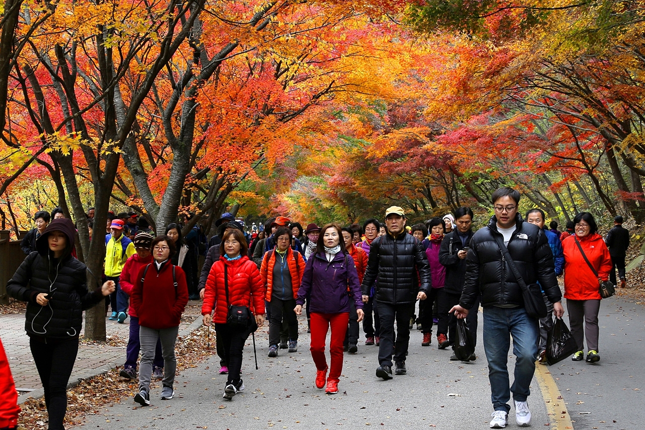 게시물 보기 페이지