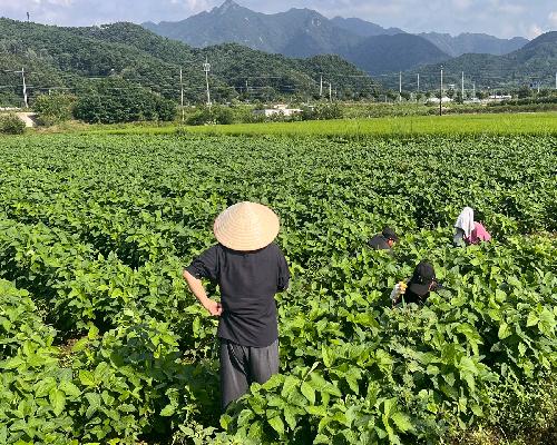 정읍시, 외국인 계절근로자 인권·안전 점검…전주출입국사무소와 합동 실시