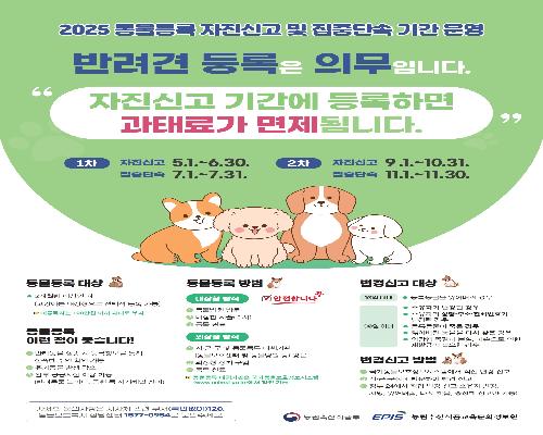 정읍시, 11월 한 달간 반려동물 미등록 집중단속… 최대 과태료 60만원