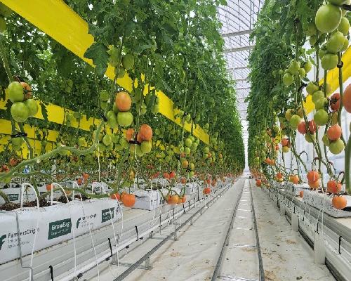 정읍시, ‘자립 경제·스마트 영농’ 투트랙으로 미래 농업 선도