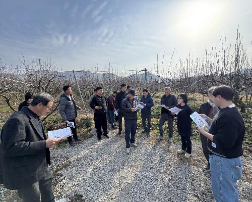 약제 사용량 3분의 1로 ‘뚝’… 정읍 배 농가, 스마트 방제로 경쟁력 높인다