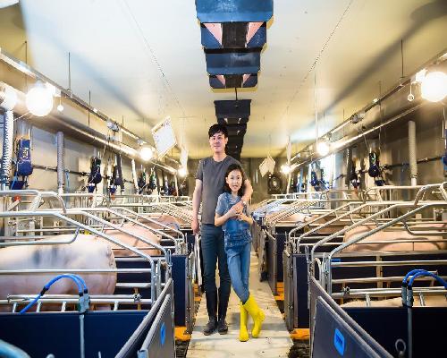 정읍시, ‘깨끗한 축산농장’ 265곳 지정… 목표 초과 달성