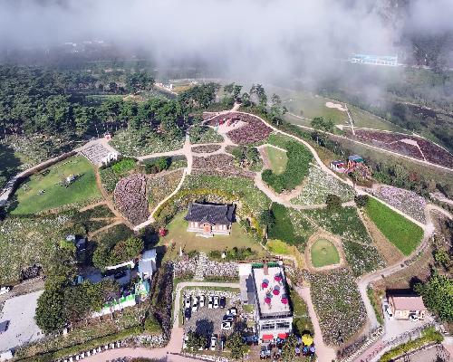 “명품 휴식과 착한 가격” 정읍시, 2026 구절초 꽃축제 준비 ‘착착’