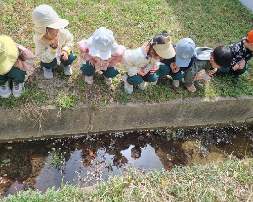 정읍시, ‘정읍사공원 유아숲체험원’ 운영 재개…9일부터 정기반 모집