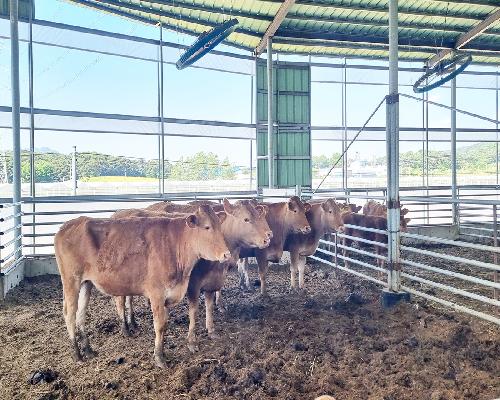 정읍시, 2027년 가축분뇨 처리 지원사업 수요조사…20일까지 접수