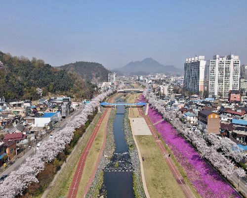 정읍시, 4월 3일 ‘2026 벚꽃축제’ 개막…정승환·민경훈 등 출격
