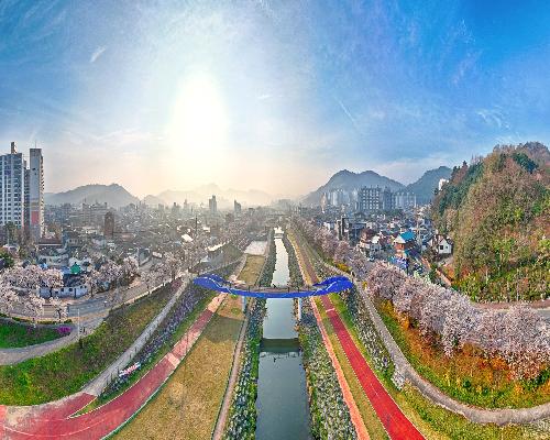 정읍시, ‘2026 벚꽃축제’ 3일 화려한 개막…“연분홍빛 봄의 향연”
