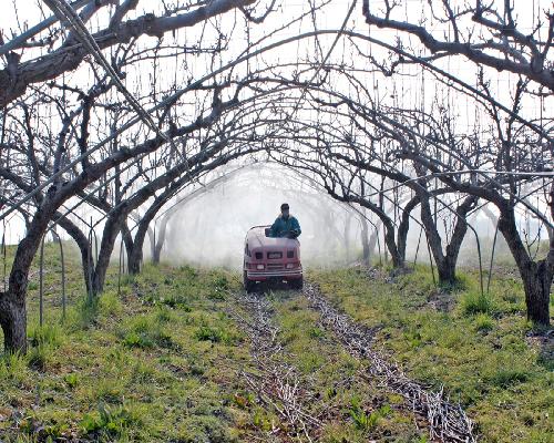 정읍시, 과수화상병 유입 차단 ‘총력’…적기 방제·예방 예찰 당부