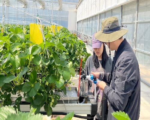 정읍시, 영농철 맞춤형 현장 지도 강화…“농업인상담소 밀착 지원”