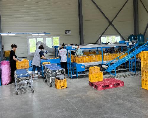 정읍시, 농산물 유통 거점 집중안전점검…“위험 요인 사전 차단”