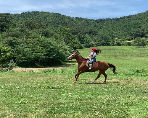 정읍시, 야외 승마 체험비 60% 지원…“자연 속 힐링 승마객 모집”