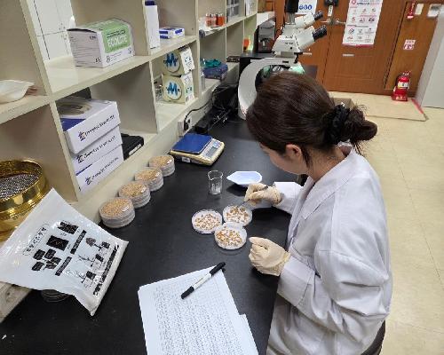 정읍시, 벼 종자 발아율 검사 지원…“농사 첫걸음 돕는다”