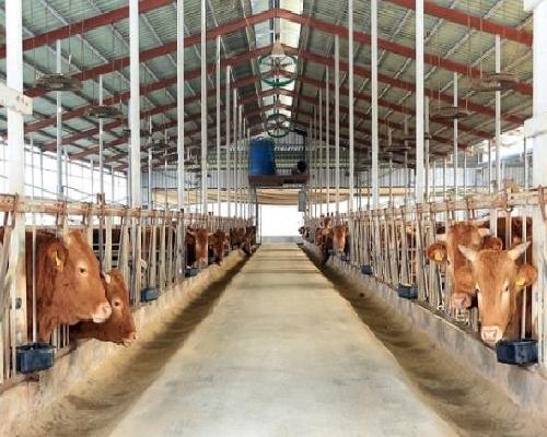 정읍시, 가축재해보험 가입으로 축산농가 피해 최소화