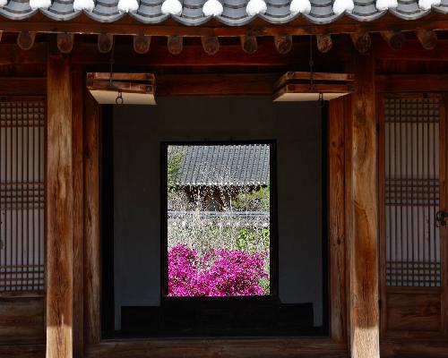 정읍 김명관 고택에 내려앉은 완연한 봄…“고즈넉한 한옥의 정취 물씬”