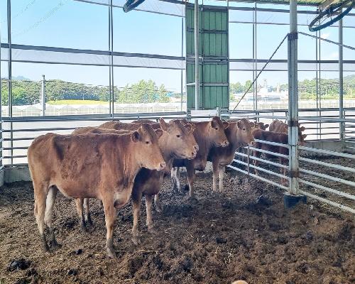 정읍시, ‘축사 화재 꼼짝 마’… 전기 안전점검 지원사업 추진
