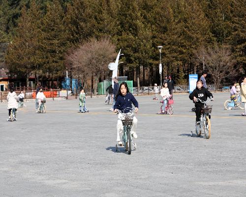 기적의 놀이터 효과 톡톡…정읍시 자전거 대여소 이용객 북적