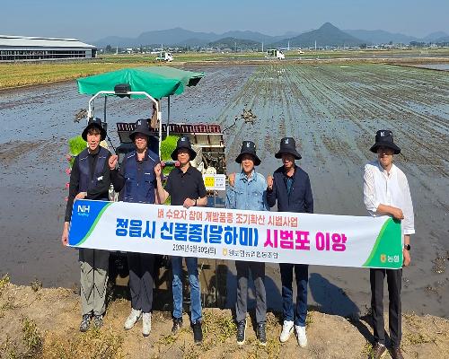 정읍시, 기후변화 대응 맞춤형 신품종 쌀 ‘달하미’ 첫 모내기 실시