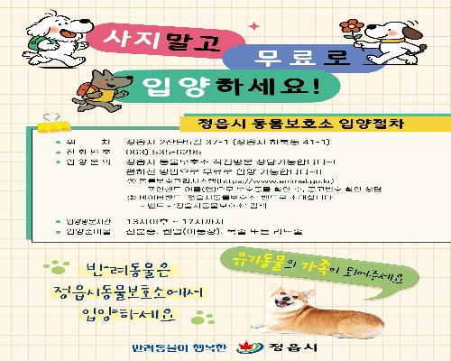 정읍시, 유기동물 입양 가정에 반려동물 보험 가입비 최대 15만원 지원